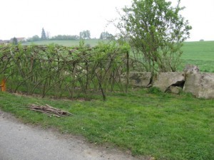 Tunel